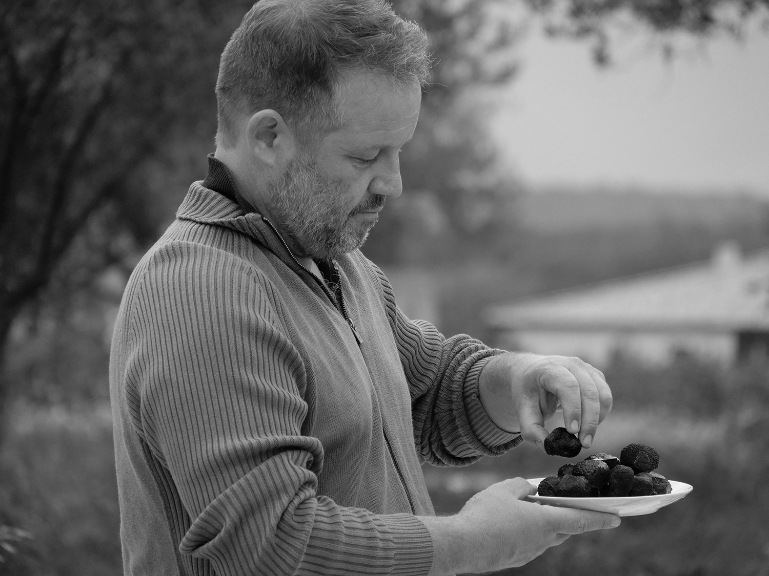 Maison Jacquet Truffes